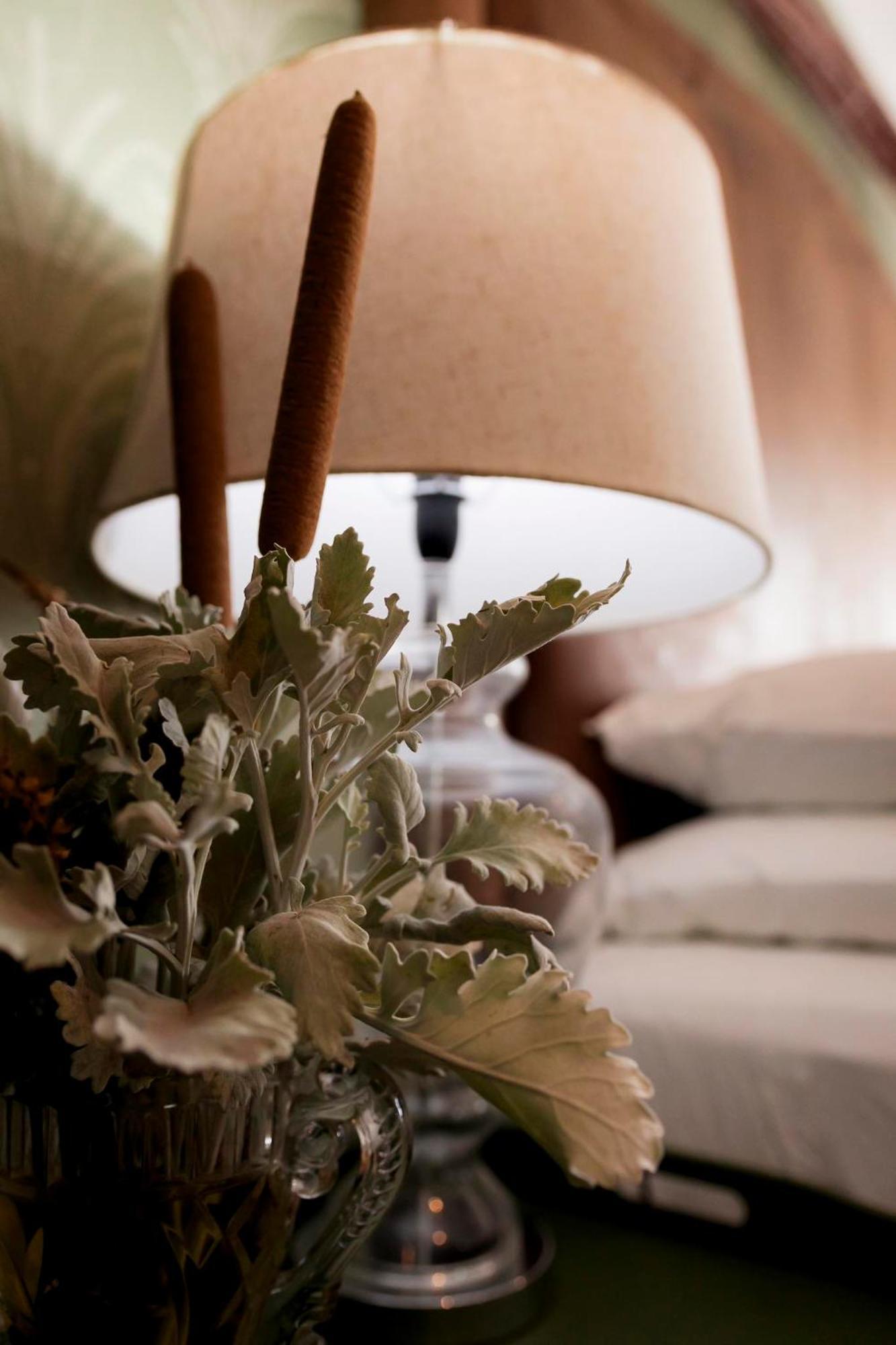Sweetfontein Boutique Farm Lodge Britstown Εξωτερικό φωτογραφία
