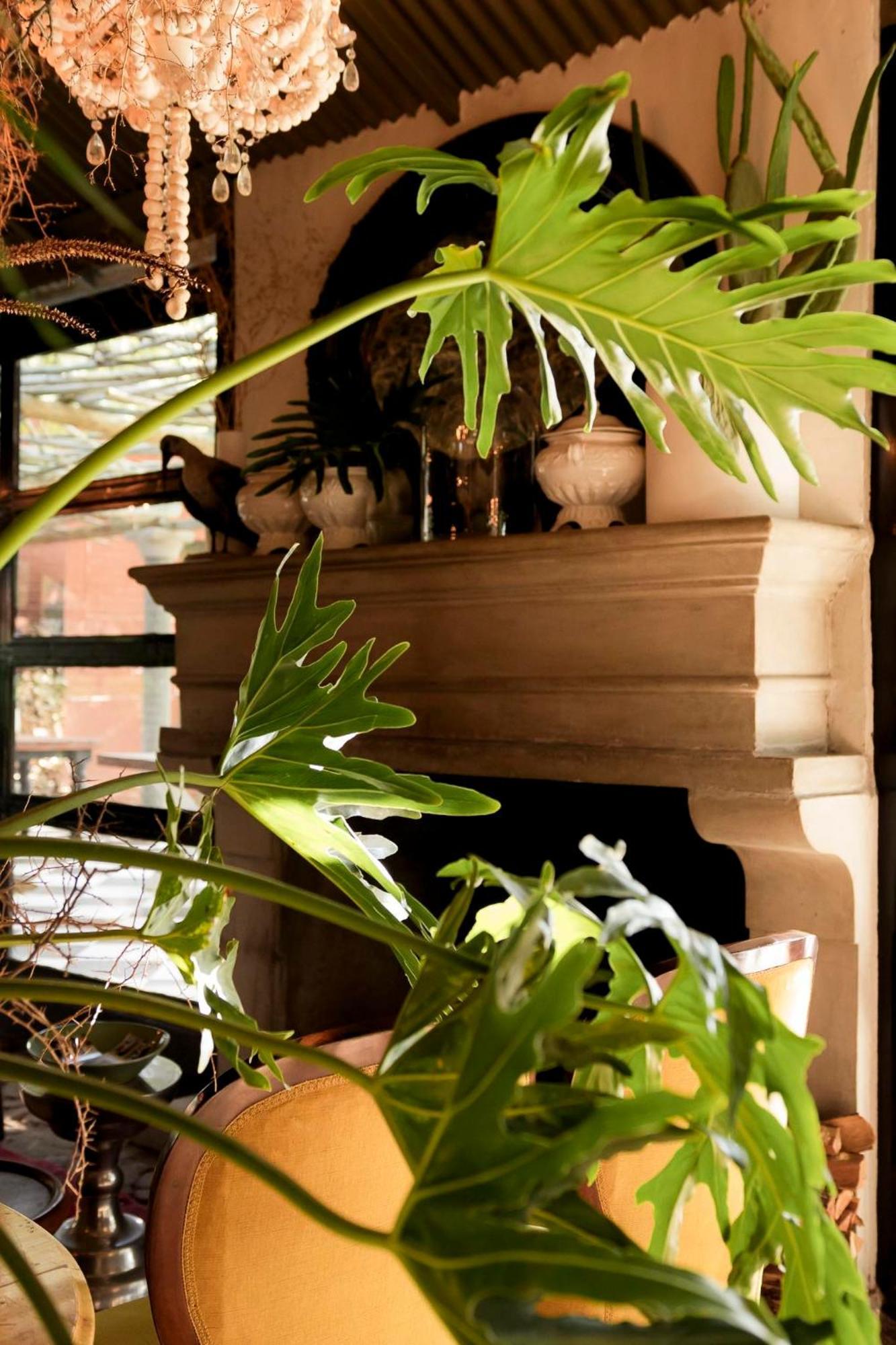 Sweetfontein Boutique Farm Lodge Britstown Εξωτερικό φωτογραφία