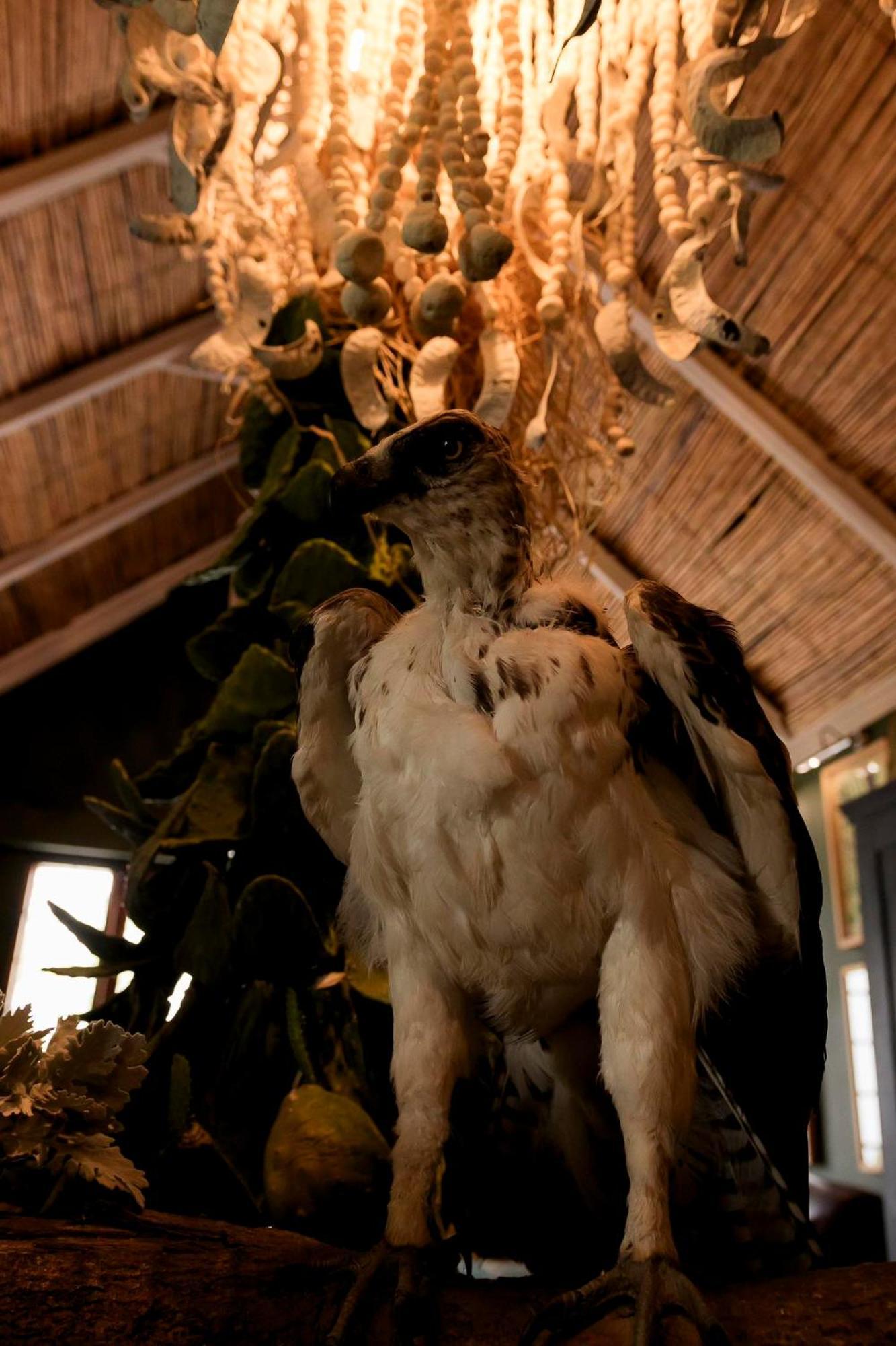 Sweetfontein Boutique Farm Lodge Britstown Εξωτερικό φωτογραφία